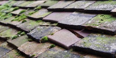 Boreham roof repair costs
